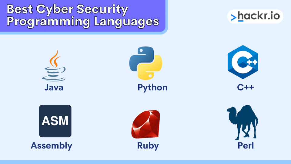 What languages are used in cyber security