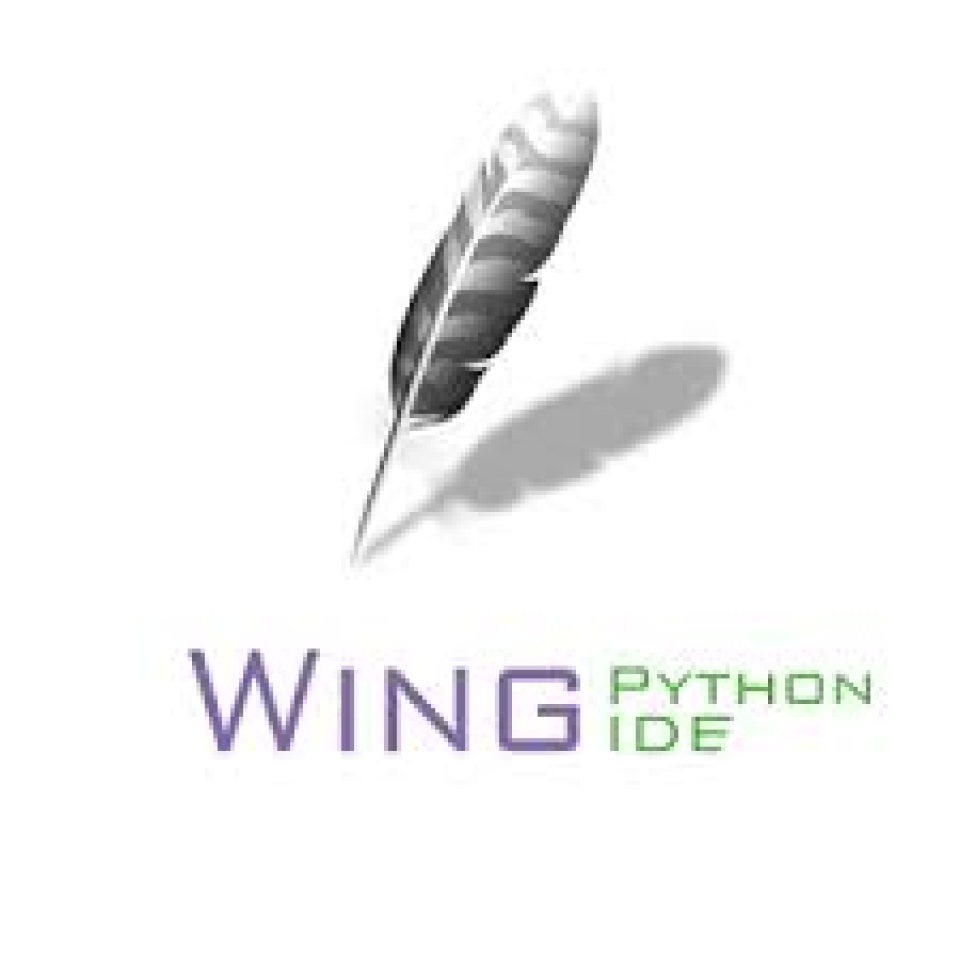 Wing python