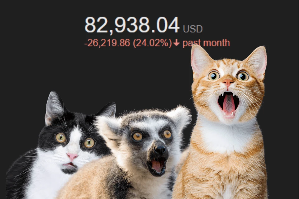 A 24 percent drop in Bitcoin value over the past month.