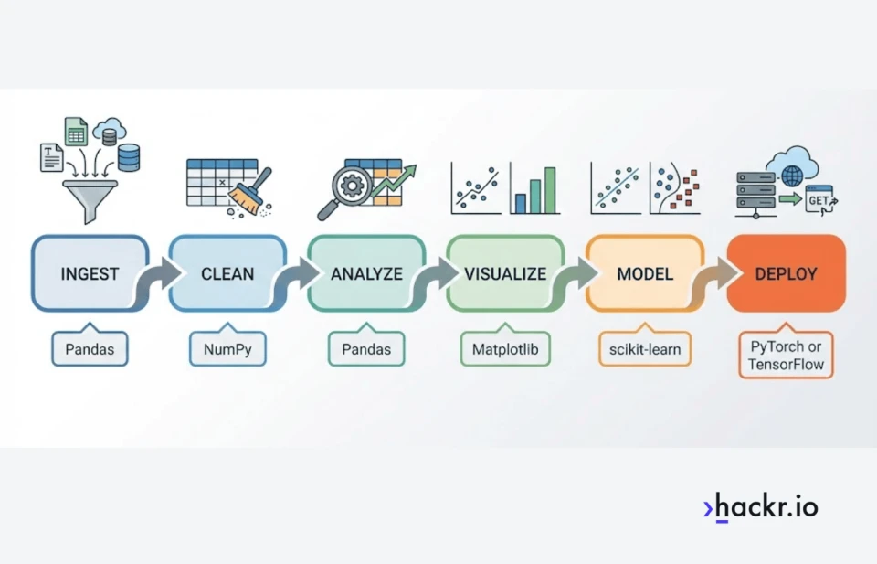 A vector infographic illustrating a six-stage data science pipeline flowing from left to right. Each stage features an icon and a specific Python library callout. The stages are: 1. Ingest (Pandas), 2. Clean (NumPy), 3. Analyze (Pandas), 4. Visualize (Matplotlib), 5. Model (scikit-learn), and 6. Deploy (PyTorch or TensorFlow).