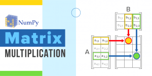 Agile vs Waterfall: Differences You Should Know
